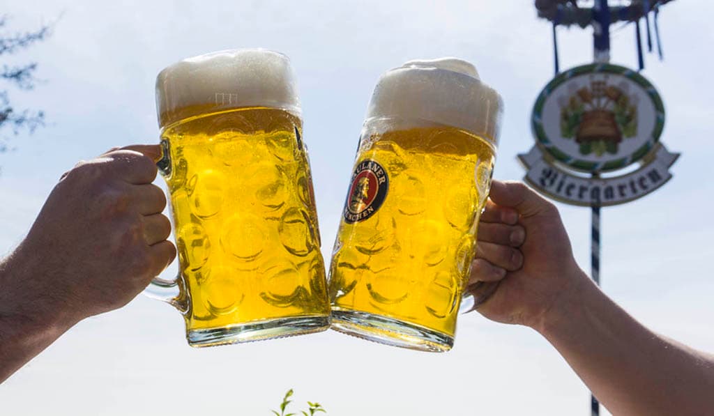 Zwei frisch gezapfte Paulaner Maßkrüge stoßen im Biergarten an